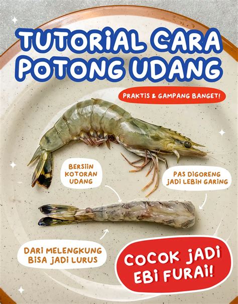 Udang Bergerak Dengan Cara - balustradellc