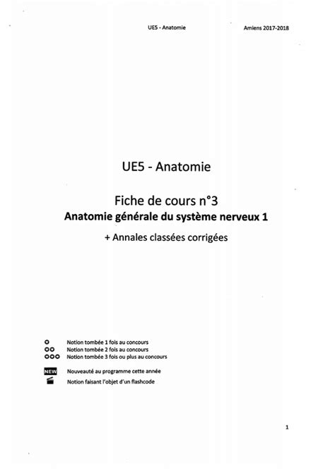 UE5 - Anatomie