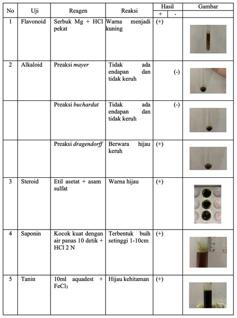 Uji Aktivitas Antioksidan dan Skrining Fitokimia Perasan Lengkuas Merah ... - balustradellc