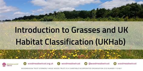 ukhab – UK Habitat Classification - wintechmobiles.com