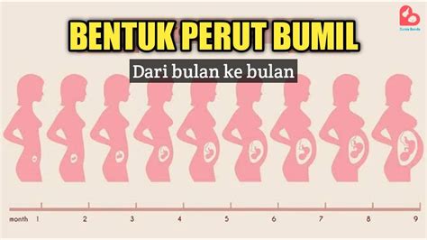 Ukuran Perut Hamil 5 Bulan - balustradellc