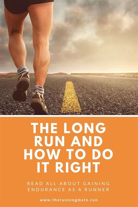 Ultimate Guide to Building Endurance for Beginner Runners - balustradellc