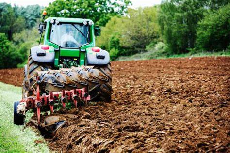 Ultimate Guide to Jute Farming: Beginner Tips for Jute Cultivation - raincitystudios.com