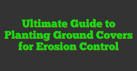 Ultimate Guide to Planting Ground Covers for Erosion … - raincitystudios.com
