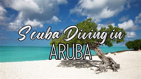 Ultimate Guide to Scuba Diving in Aruba - Updated March 2026 - raincitystudios.com