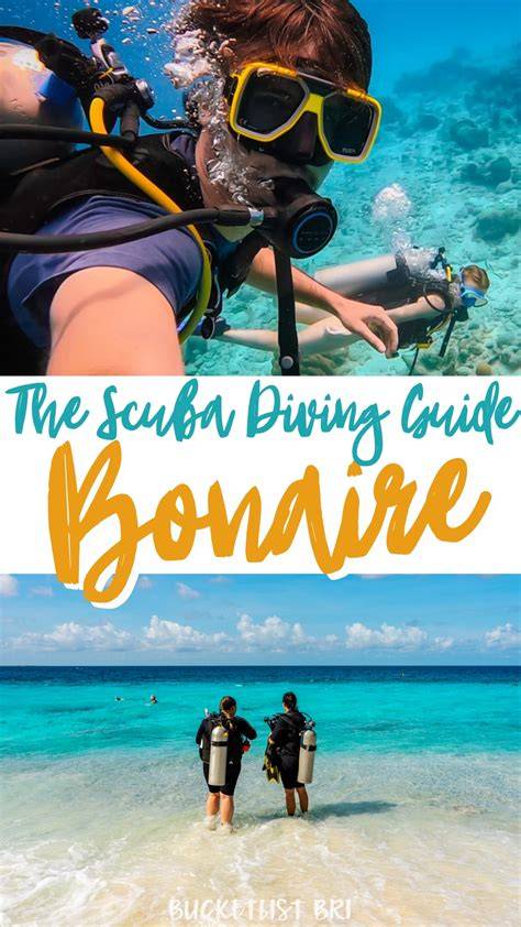 Ultimate Guide to Scuba Diving in Bonaire - Updated March 2026 - raincitystudios.com