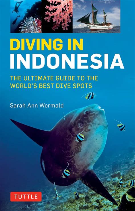 Ultimate Guide to Scuba Diving in Indonesia - Updated March 2026 - balustradellc