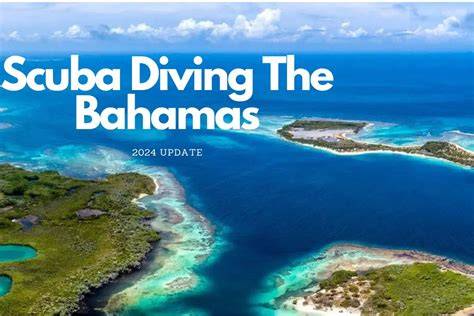 Ultimate Guide to Scuba Diving in The Bahamas - Updated March 2026 - raincitystudios.com