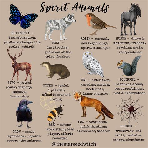 Ultimate Guide To Spirit Animals, Power Animals & Totems - balustradellc