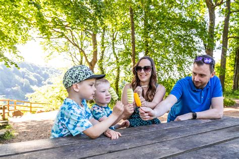 Ultimate guide to summer picnic spots near you - balustradellc