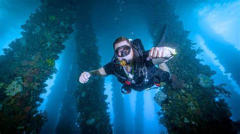 Ultimate Guide to Underwater Photography in the Philippines: Techniques ... - raincitystudios.com