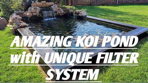 Ultimate Koi Filter System: Professional-Grade Filtration for Premium ... - raincitystudios.com