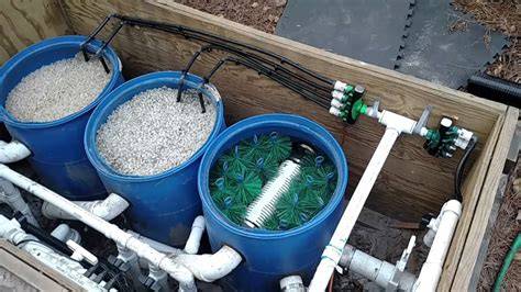 Ultimate Koi Pond Filtration Systems: Professional-Grade Solutions for ... - raincitystudios.com