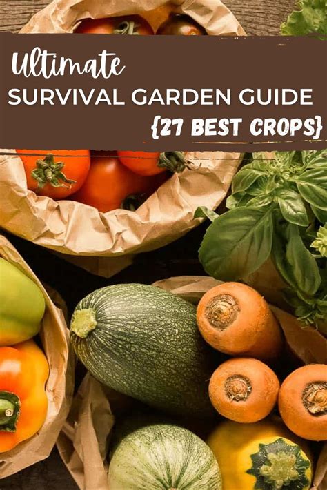 Ultimate Survival Garden Guide {27 Best Crops} - balustradellc