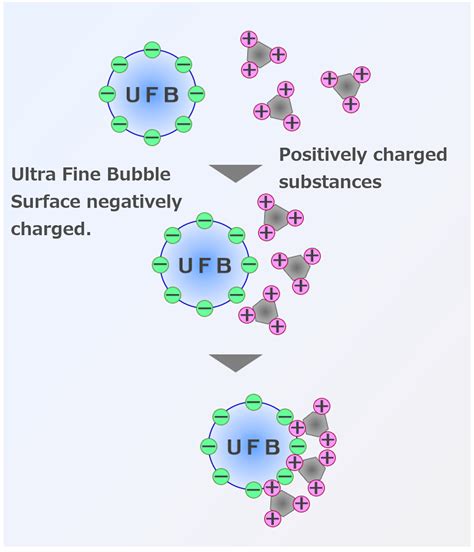 Ultrafine bubble water irrigation promotes soil particle fragmentation ... - wintechmobiles.com