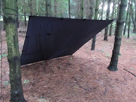Ultralight Tarp Shelter : How to set up the Lean-To using 2 trekking ... - balustradellc