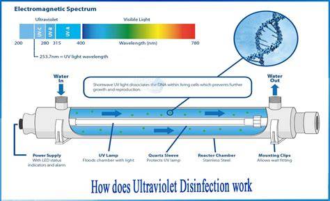 Ultraviolet Disinfection - ScienceDirect - raincitystudios.com