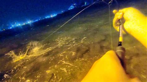 Umpan GACOR Mancing Ikan Besar Malam Hari - balustradellc