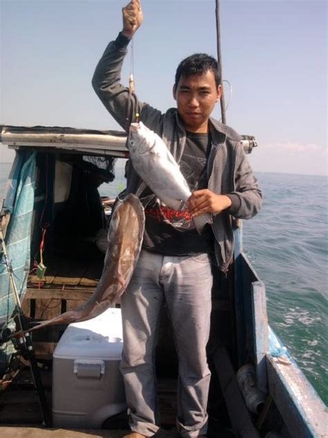 Umpan Mancing Laut Malam Hari - balustradellc