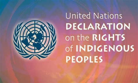 UN Declaration on the Rights of Indigenous Peoples - balustradellc