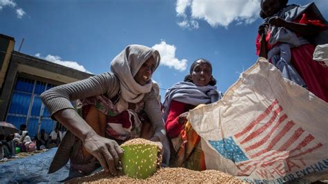 UN agency suspends food aid to Ethiopia’s Tigray amid theft