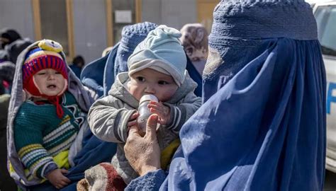 UN food agency: $800m urgently needed for Afghanistan