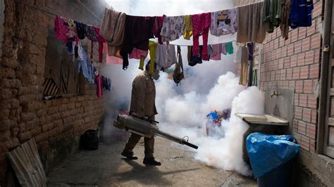 UN health agency cites tenfold increase in reported cases of dengue over the last generation