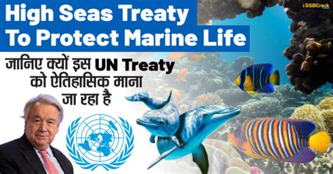UN members adopt first-ever treaty to protect marine life in the high seas