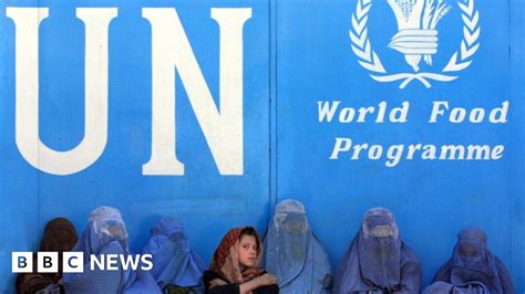 UN says its female Afghan staffers banned from working
