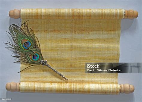 Unbelievable Ancient Peacock Feather Pen & Ink System # ... - muktibox.com