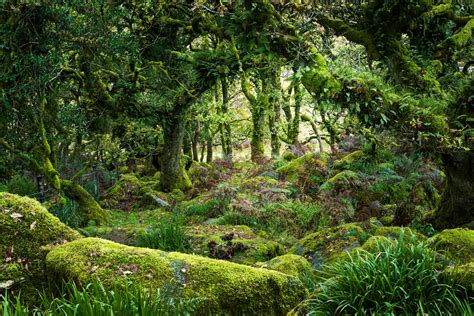 Uncover Indonesia's Hidden forests 18 Must-Visit Places - raincitystudios.com