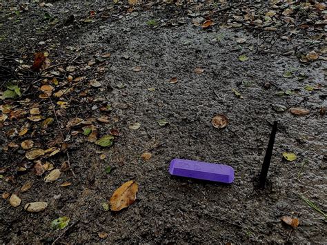 Underhyped Tech - Algal Photobioreactors - Frontier … - muktibox.com