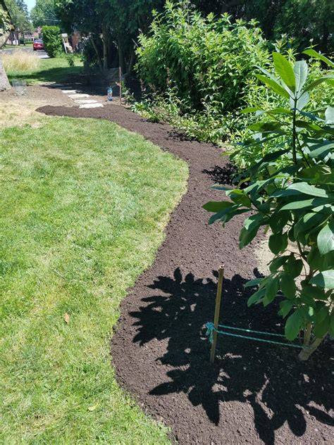 underrated benefit of landscaping with cardboard : … - raincitystudios.com