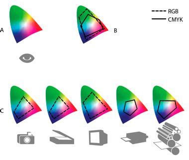 Understand Photoshop color management - Adobe Inc. - balustradellc