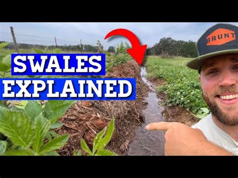 Understand Swales In LESS THAN 3 MINUTES - raincitystudios.com