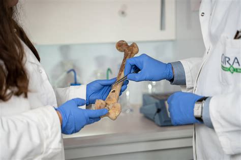 Understanding ancient diets with stable isotope analysis - wintechmobiles.com