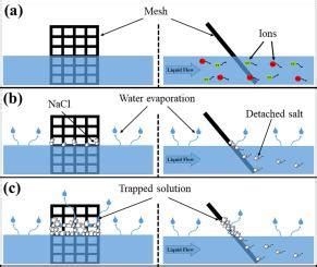 Understanding and exploiting crystal formation during sodium chloride ... - wintechmobiles.com