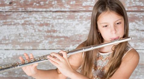 UNDERSTANDING AND PLAYING FLUTE FOR BEGINNERS: A … - balustradellc