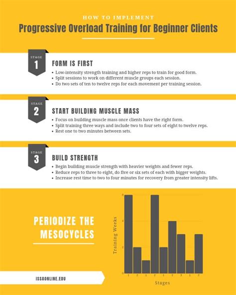 Understanding and Using the Overload Principle - ISSA - balustradellc