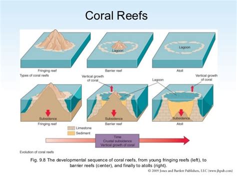 Understanding Atolls and Reef Systems: Formation, Growth, and ... - wintechmobiles.com