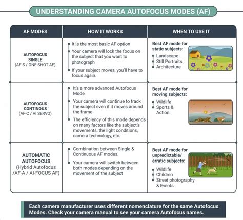 Understanding Auto Focus Mode - Which Mode Should … - balustradellc