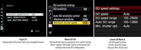 Understanding Auto ISO - Tips & Techniques | Nikon USA - balustradellc