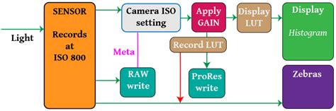 Understanding BMPCC exposure with Zebras - balustradellc