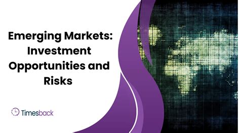 Understanding Business Opportunities and Investment in Emerging Markets - balustradellc