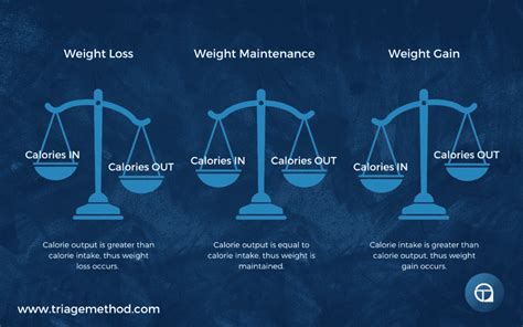 Understanding Calories | Nutrition, Energy & Metabolism - muktibox.com