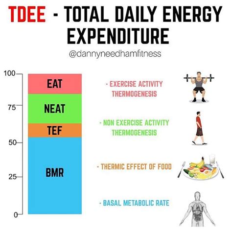 Understanding Calories and Energy Expenditure - Bryan Health - muktibox.com