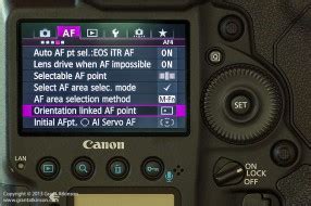 Understanding Canon EOS 1DX Autofocus (Firmware … - balustradellc
