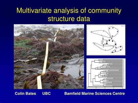 Understanding community structure: a data-driven multivariate approach - raincitystudios.com