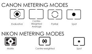 Understanding Different Metering Modes – Nature TTL - balustradellc