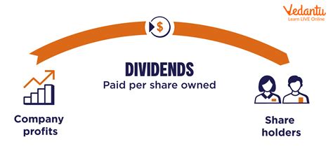 Understanding Dividends and Profit Distribution in Corporate Law - balustradellc